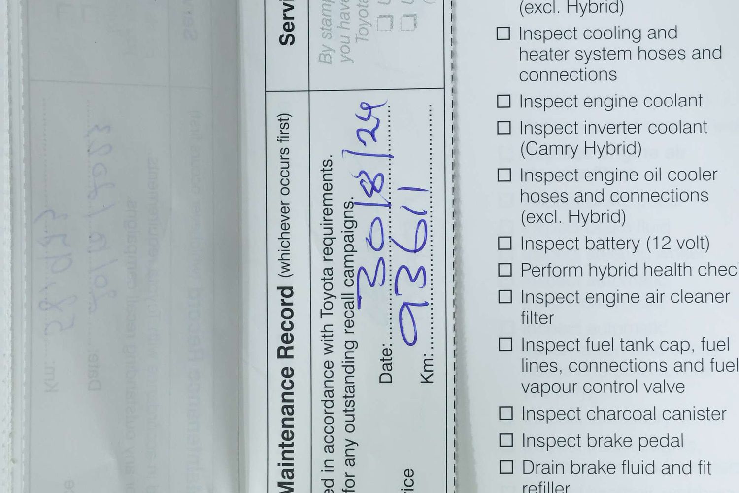 2019 Toyota Camry ASCENT